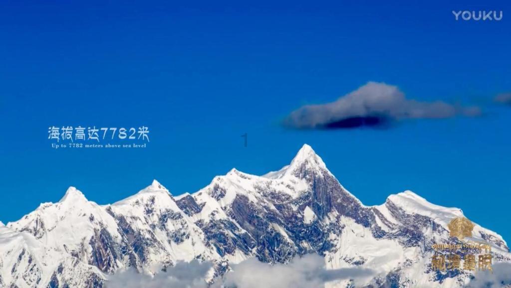 超级坦克消灭僵尸